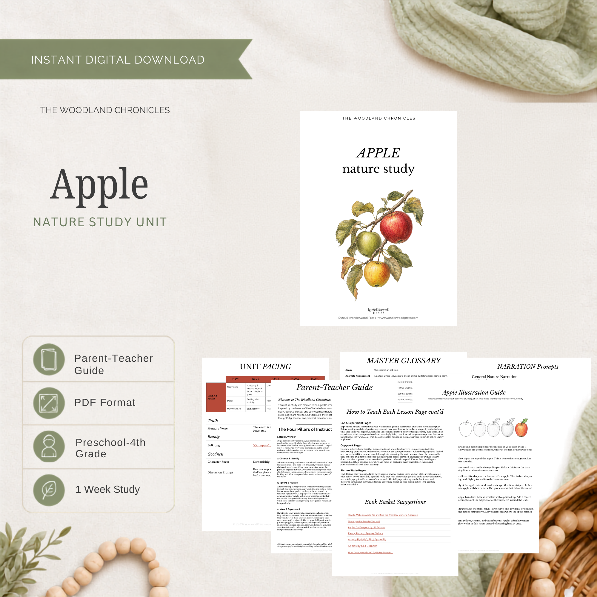 Apple Nature Study