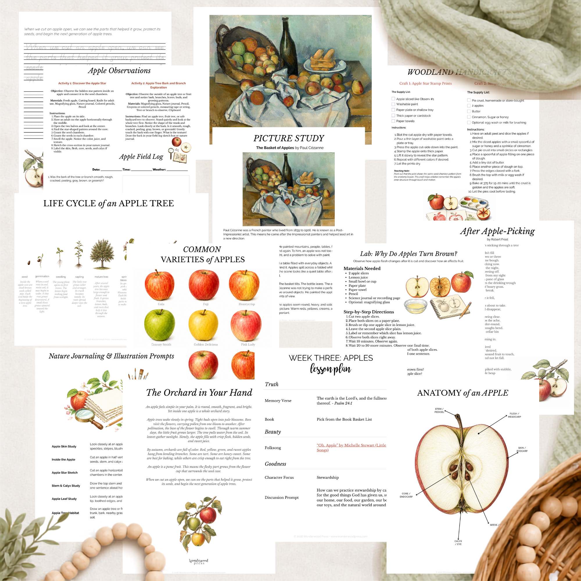 The Woodland Chronicles: Autumn Nature Study Bundle