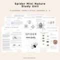 Spider Mini Nature Study Unit