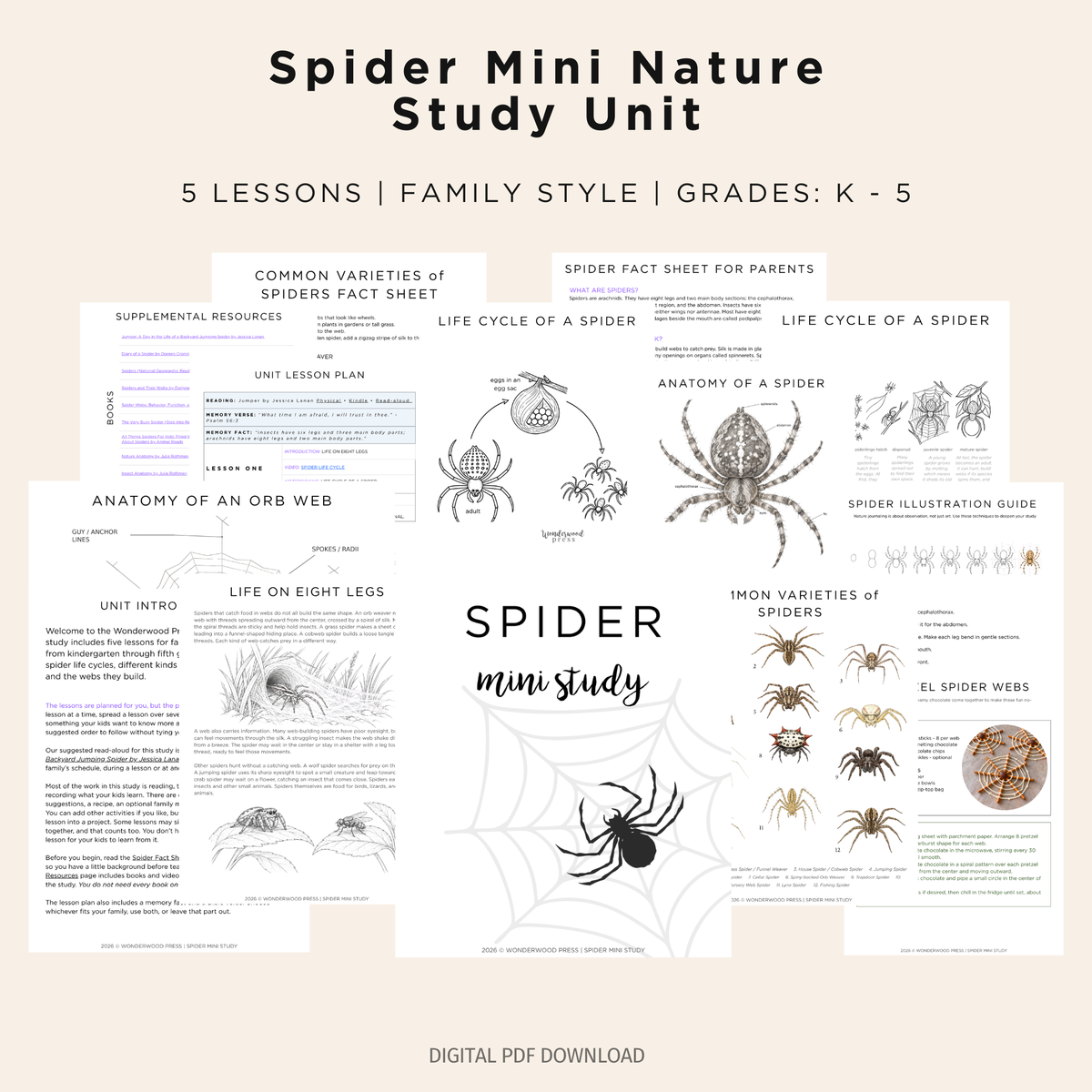 Spider Mini Nature Study Unit