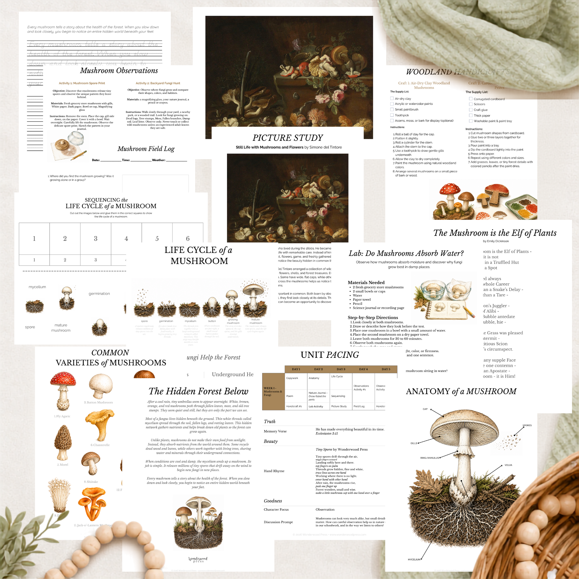 Mushroom Nature Study
