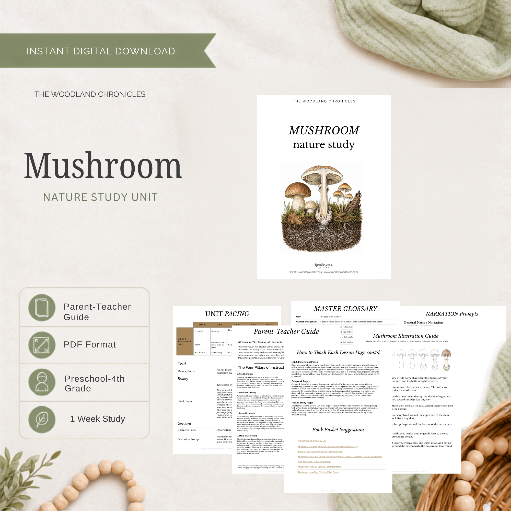 Mushroom Nature Study