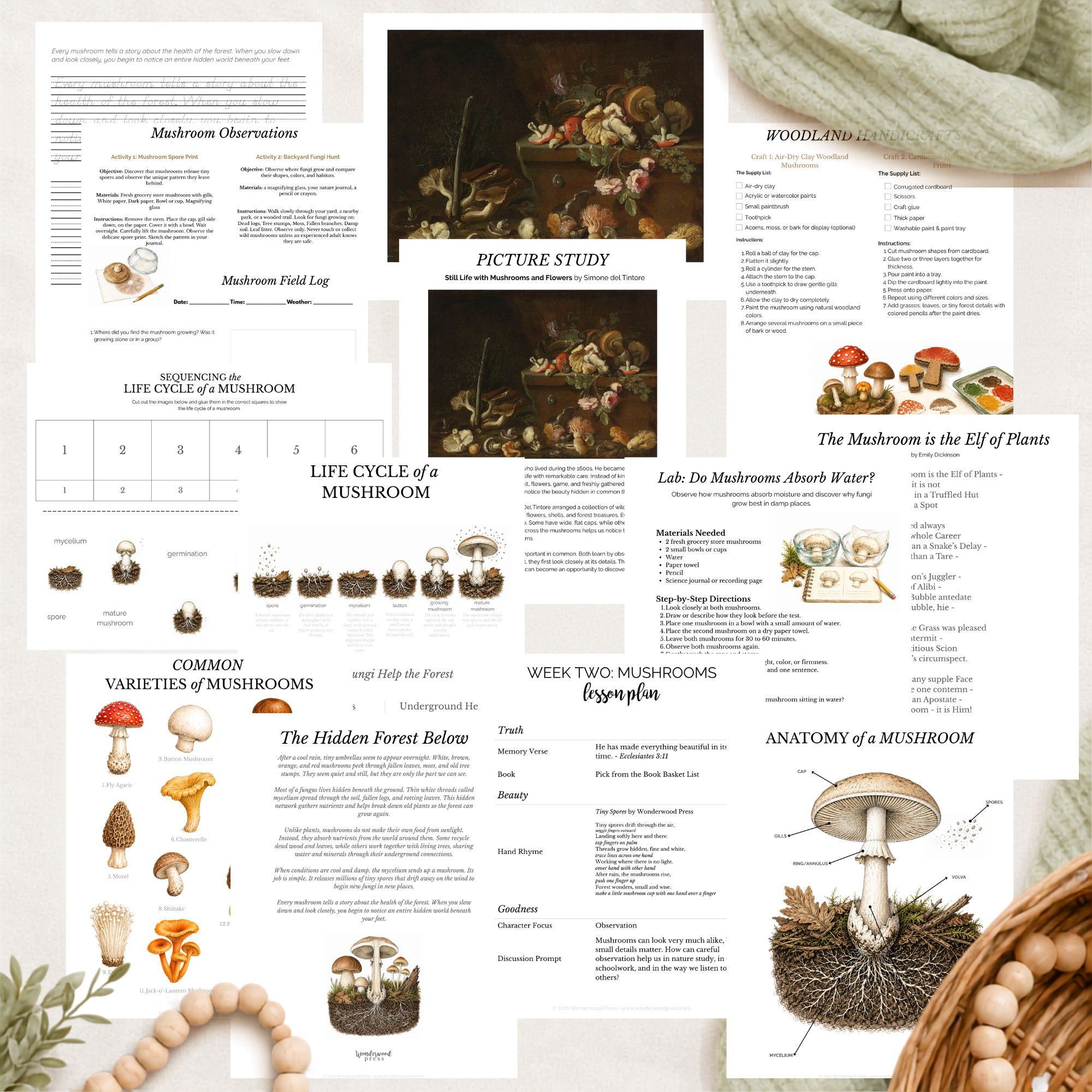 The Woodland Chronicles: Autumn Nature Study Bundle