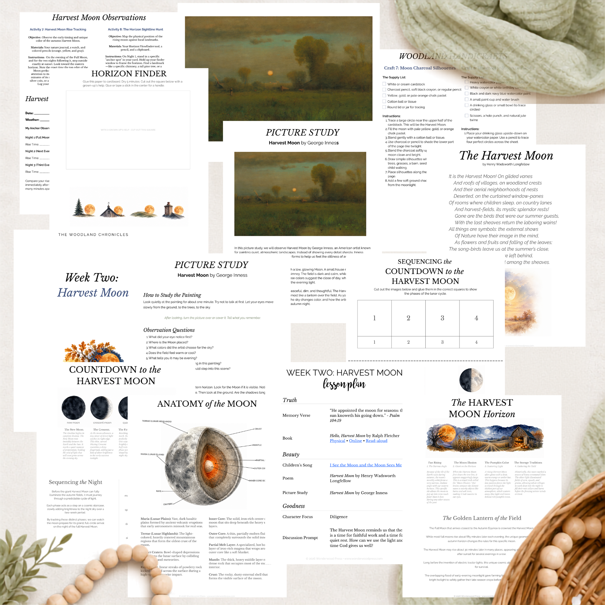 Autumn Equinox & Harvest Moon Nature Study
