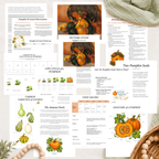Pumpkins & Gourds Nature Study