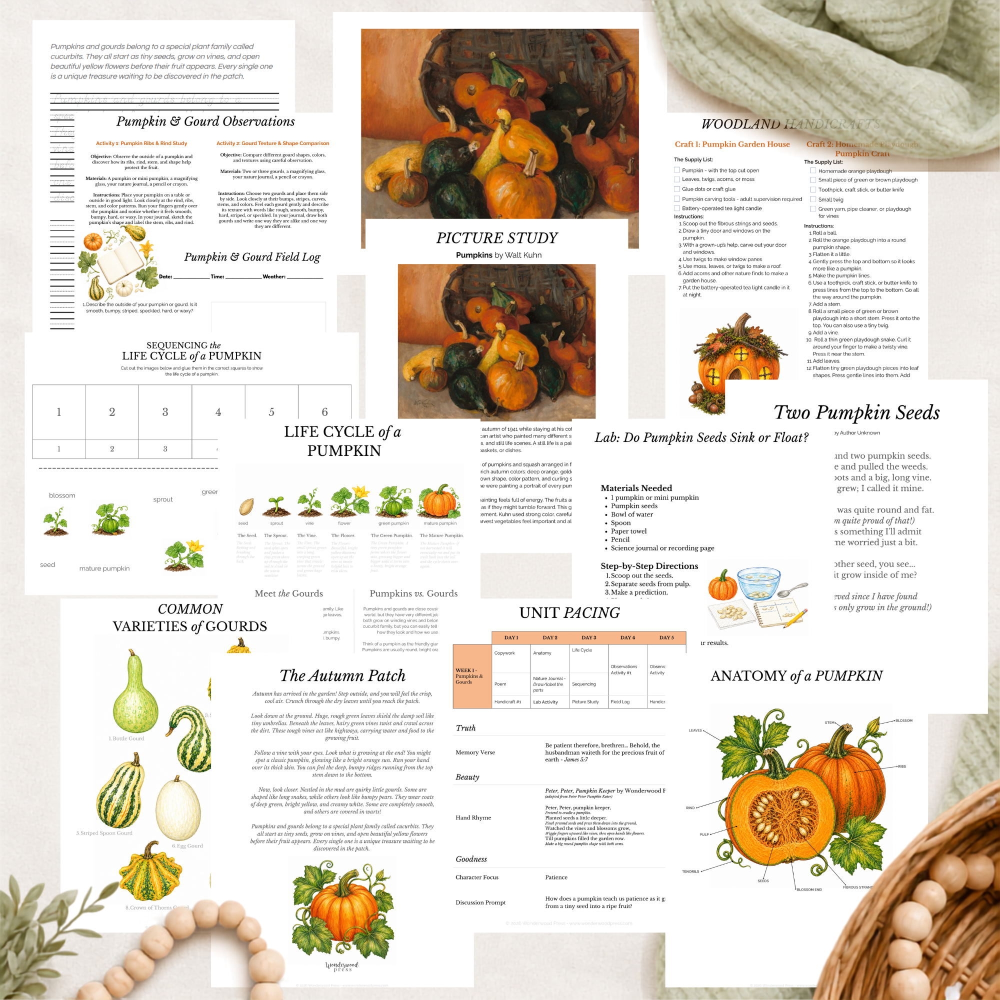 Pumpkins & Gourds Nature Study