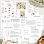 The Woodland Chronicles: October Nature Study