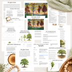 The Woodland Chronicles: September Nature Study