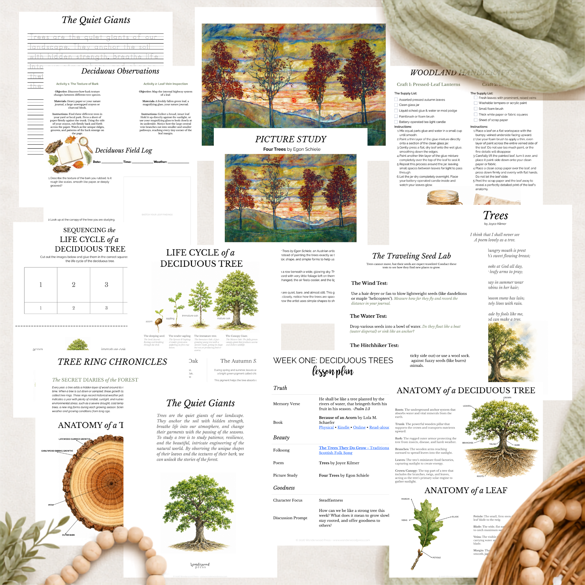 The Woodland Chronicles: September Nature Study