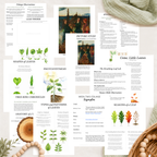 The Woodland Chronicles: September Nature Study