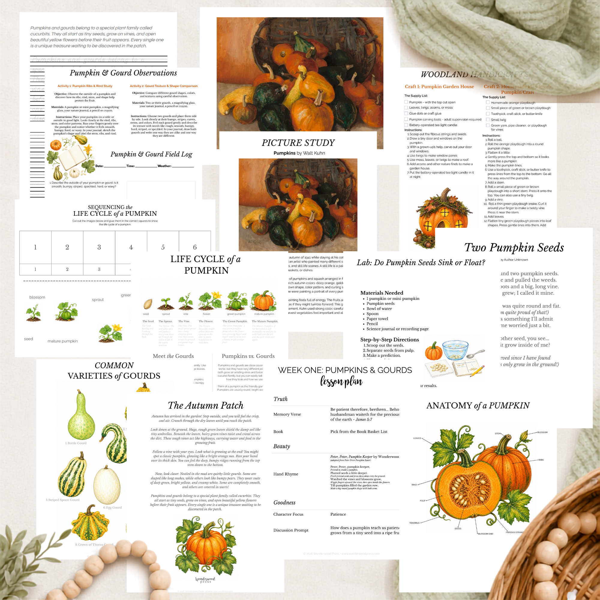 The Woodland Chronicles: Autumn Nature Study Bundle