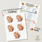 Squirrel Counters & Acorn Math Manipulatives