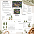 The Woodland Chronicles: Autumn Nature Study Bundle