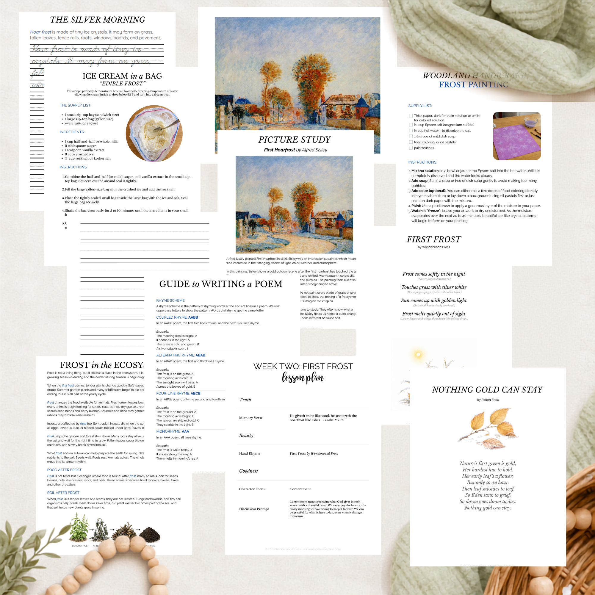 The Woodland Chronicles: Autumn Nature Study Bundle