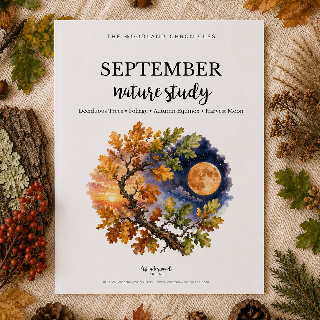 The Woodland Chronicles: September Nature Study