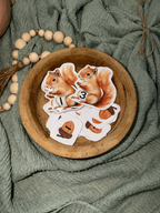 Squirrel Counters & Acorn Math Manipulatives
